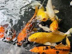 -天津海河悦榕庄·Lobby Lounge大堂吧