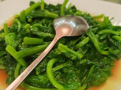 清炒豆苗-新加坡泰园村酒楼直营(新华路店)