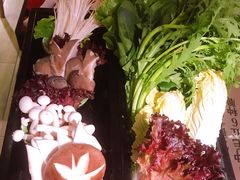 -九鼎轩脆毛肚火锅(三钢里店)