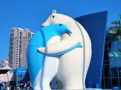 -西安曲江海洋极地公园