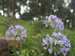 -上海市保健医疗中心