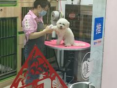 -米卢宠物公园(广华居店)