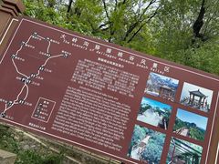 -大岭沟猕猴桃谷风景区