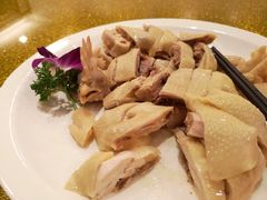 清远白切鸡-六婶西关小厨(光塔路店)