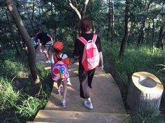 -小长山岛景区