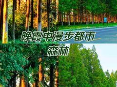 -云龙湖旅游景区