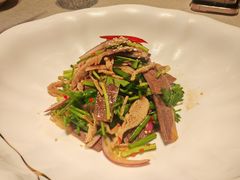 -秀儿四九城·新京菜(亚运村鸟巢店)