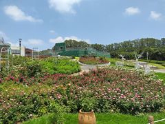 -立新湖公园