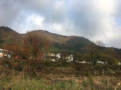 -塔川景区