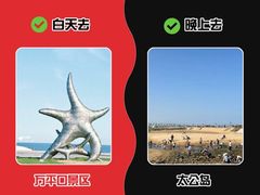 -日照海滨国家森林公园