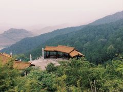 -铁山坪森林公园