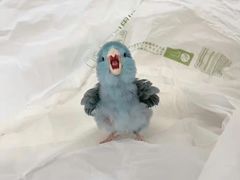 -江南大学(蠡湖校区)