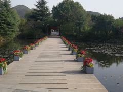 -白马涧龙池景区