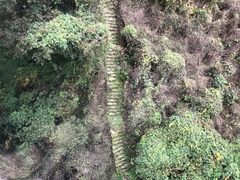 -少华山国家森林公园
