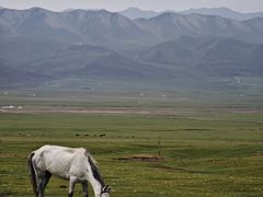 -祁连山草原