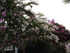 -杭州城北体育公园