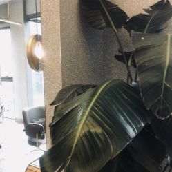-3AM·S HAIR SALON烫发染发接发