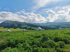 -新疆那拉提国家旅游度假区