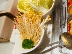 -海底捞火锅(巴黎春天浦建店)