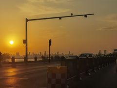 -合肥滨湖国家森林公园