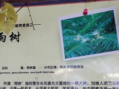 -北京呀路古热带植物园