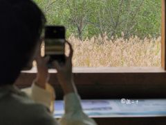-华侨城湿地公园