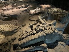 -自贡恐龙博物馆