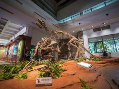 -自贡恐龙博物馆