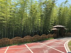 -龙寺生态园