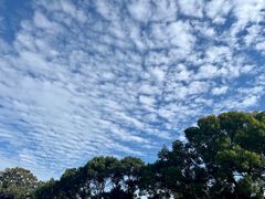 -半岛1919创意园区