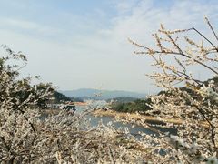 -广州市流溪河国家森林公园
