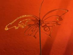 -成都凯宾斯基饭店