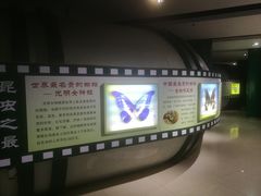 -上海昆虫博物馆