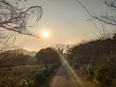 -普陀山慧济禅寺