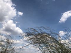 -苏泊罕大草原旅游景区