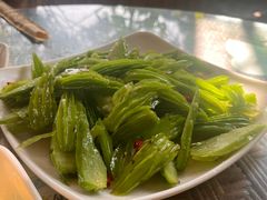 -晓雯人家
