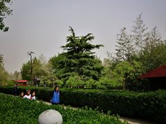 -赵州桥景区