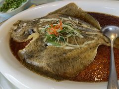清蒸多宝鱼-香浙汇(望京店)