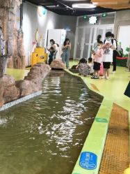 -七巧国萌宠乐园(龙湖天街店)