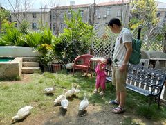 -HERRE·FARM 赫尔露营农场·团建聚会包场