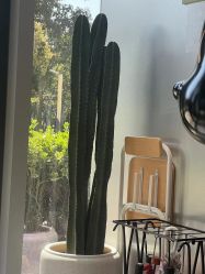 -Tloml salon
