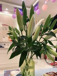 -静博士·养生养颜