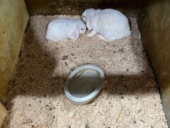 -上海大自然野生昆虫馆