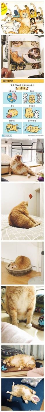 -老翡翠 Old Crystal Jade Restaurant