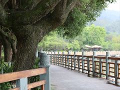 -月亮湾景区