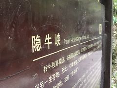 -牛背梁国家森林公园