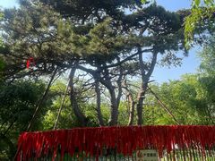 -北陵公园