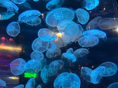 -南昌融创海世界