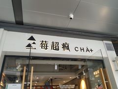 -莓超疯