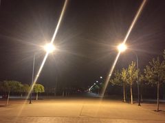 -南开大学滨海学院